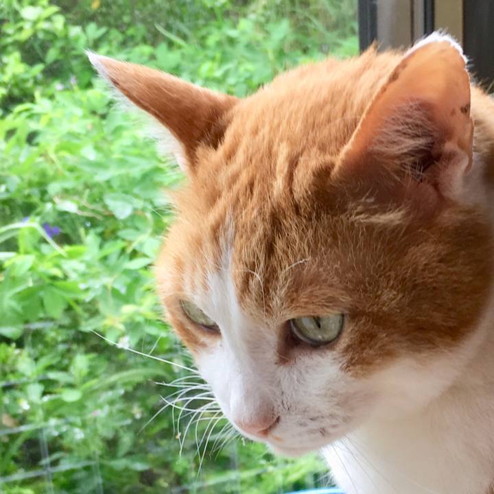 Ca5be536 5920 4821 ab43 f9a46da00b84 1560739550334