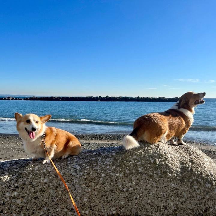 Ca5c27e8 7668 4095 8226 fe434e527bcd 1636938617665