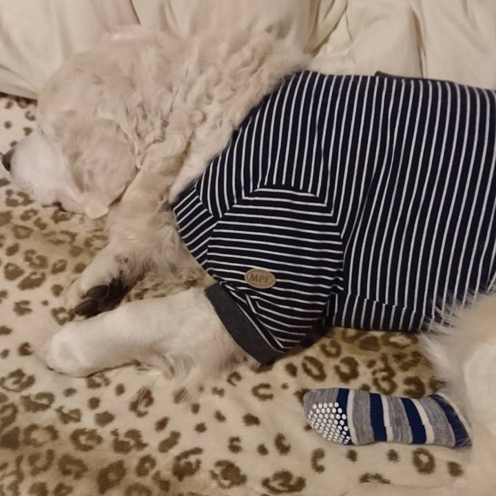 Ca5c5c19 72c4 4caa 8cfe 46ea2d8acf8e 1553343865138