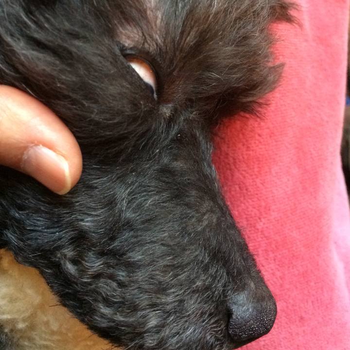 Ca5c7236 c9e9 4aae 9782 1c6fb1db6135 1518848953690