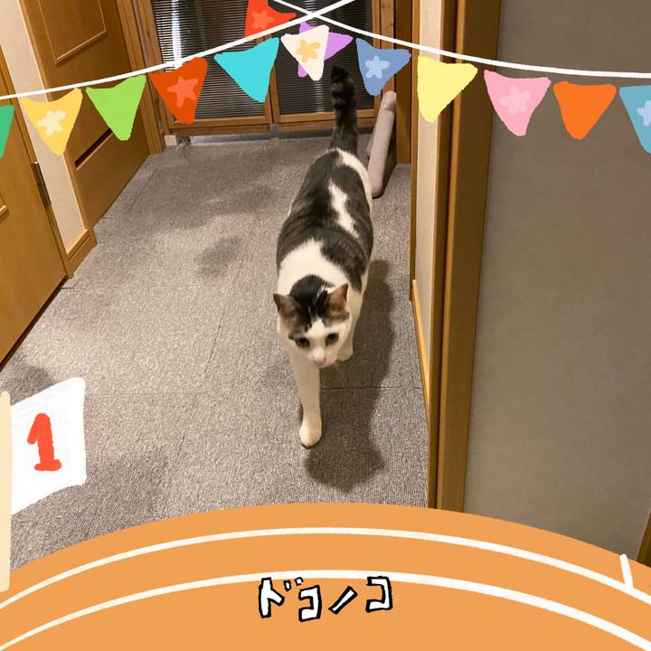 Ca5c8180 aba3 425f 9b5d 58fee4ec329e 1761839345808