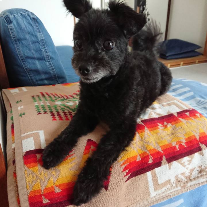 Ca5c9648 94c4 4b87 936a 083b2315cdda 1567303550484