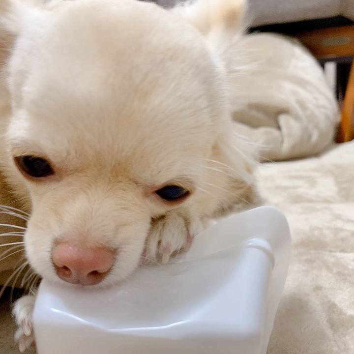 Ca5cb7c5 933a 4727 97fc 1b8c0b084980 1610016466160