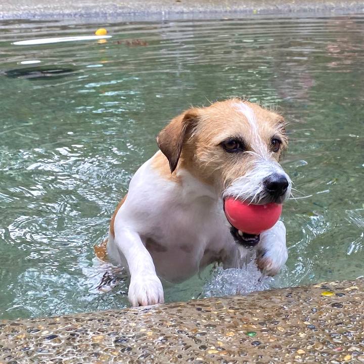 Ca5ccb99 c83a 4759 a1e2 31137ef14fc6 1597811855184