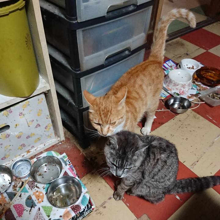 Ca5ccdf2 1384 44d4 8b28 5932d69fca04 1592470687202