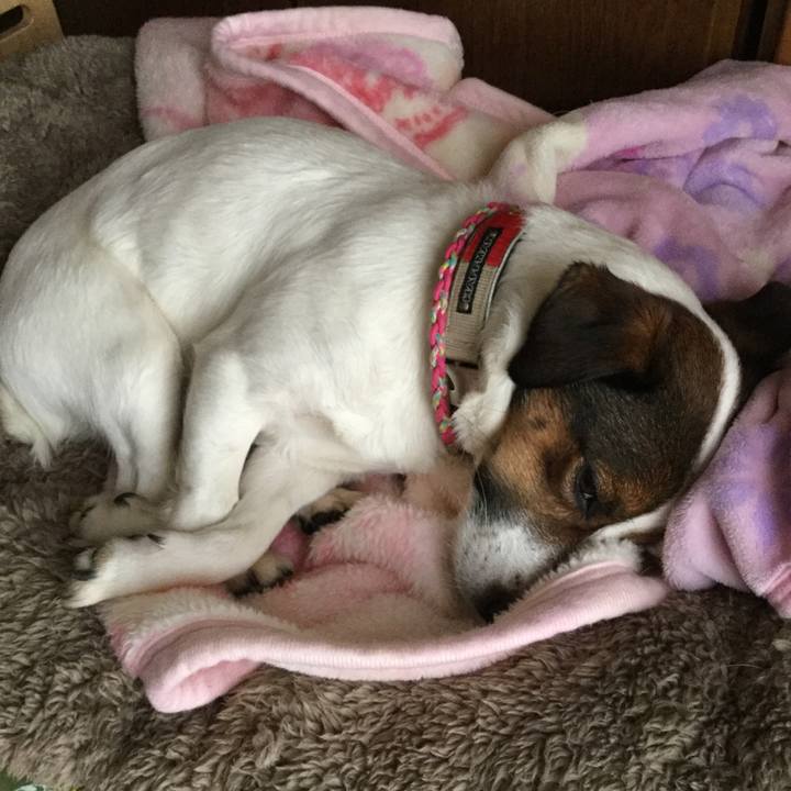 Ca5cd2bf b158 44c3 b28f d0035d9aae35 1518329615588