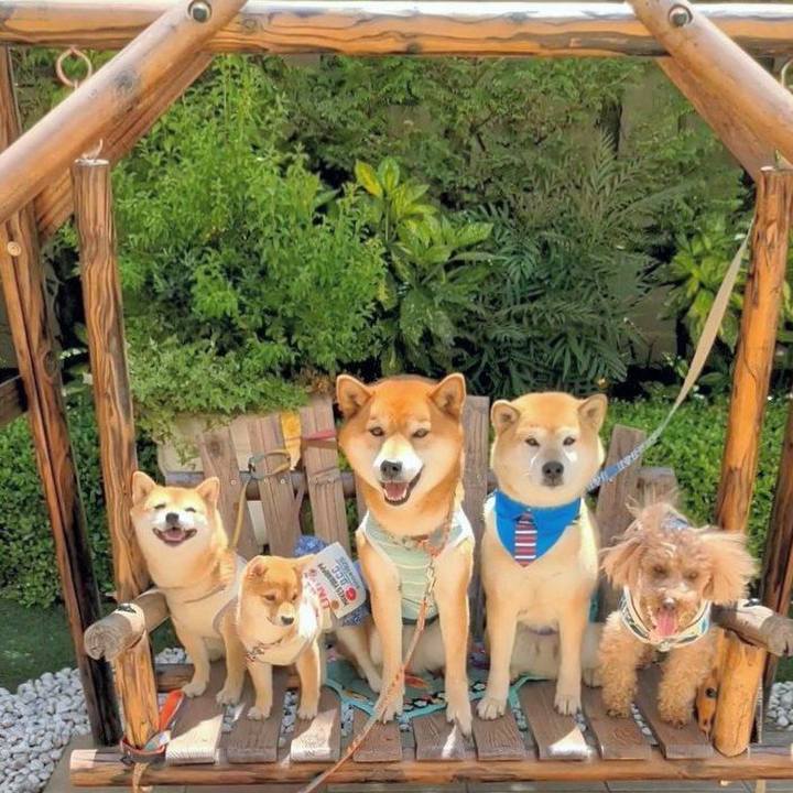 Ca5cd596 09f1 4991 a642 0f29a97892ff 1619077341557