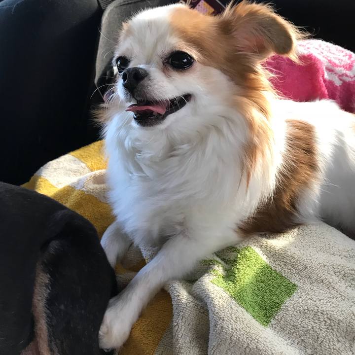 Ca5ce28f deee 4ae6 a24e f2c099161c64 1567259209778