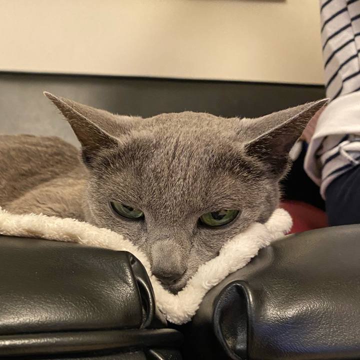 Ca5cebac 02d1 469b a5bc 234ee2af4745 1634340722336