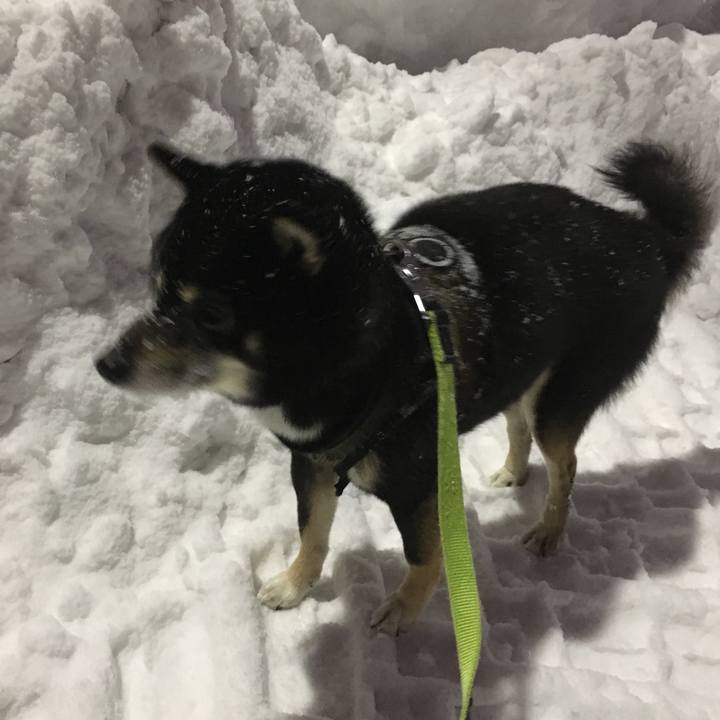 Ca5cf791 9de5 45c1 a18c c4a524e83f26 1518553401594