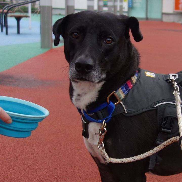 Ca5d135b 87dd 474c 8790 8fbfb33b9ad0 1637542662775