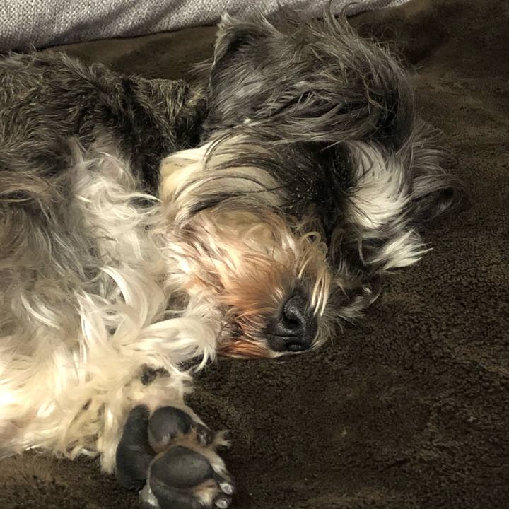 Ca5d1366 6ad2 473d 9580 f011f3e472d3 1586675233989