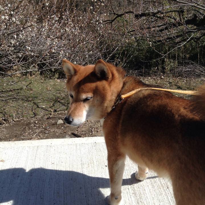 Ca5d2bdf a54e 4c93 8b7e 990f1227c057 1520675861708