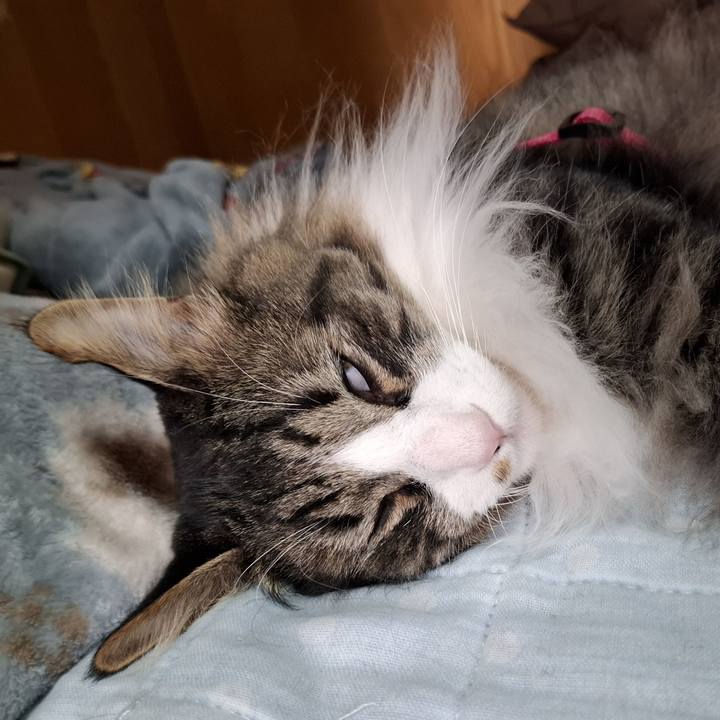 Ca5d30c1 1074 45c3 bbe8 c3a270e4e5f1 1752001471875