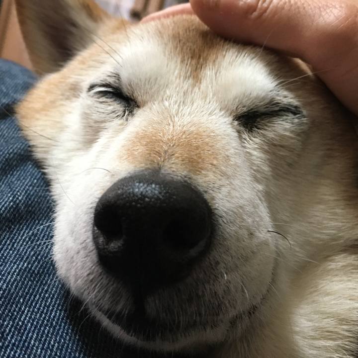 Ca5d3515 b7aa 46c2 a114 a30736dac8ef 1518756009804