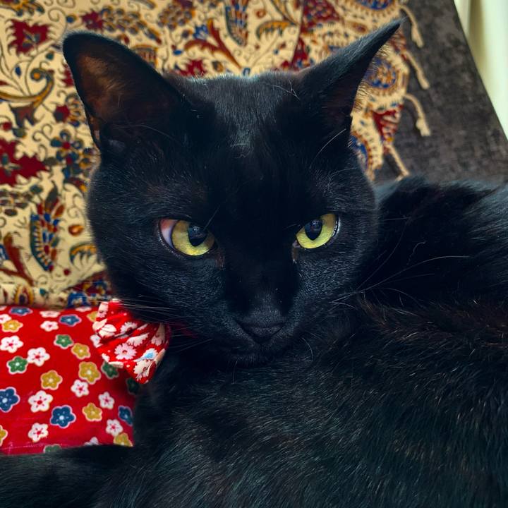 Ca5d67c8 5e50 4a93 8516 edb81b1c7676 1618661036268