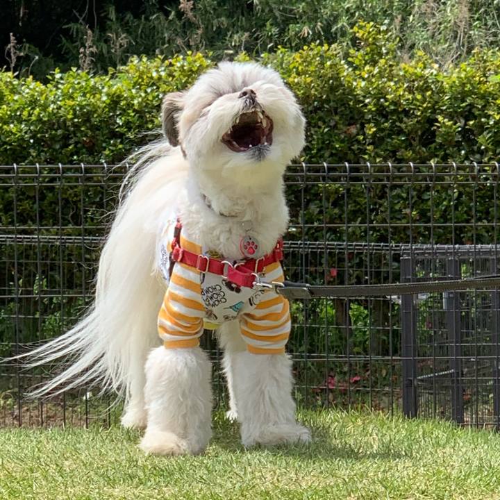 Ca5d6e41 8e67 425b a171 c3f1cb5d9d42 1557267412085