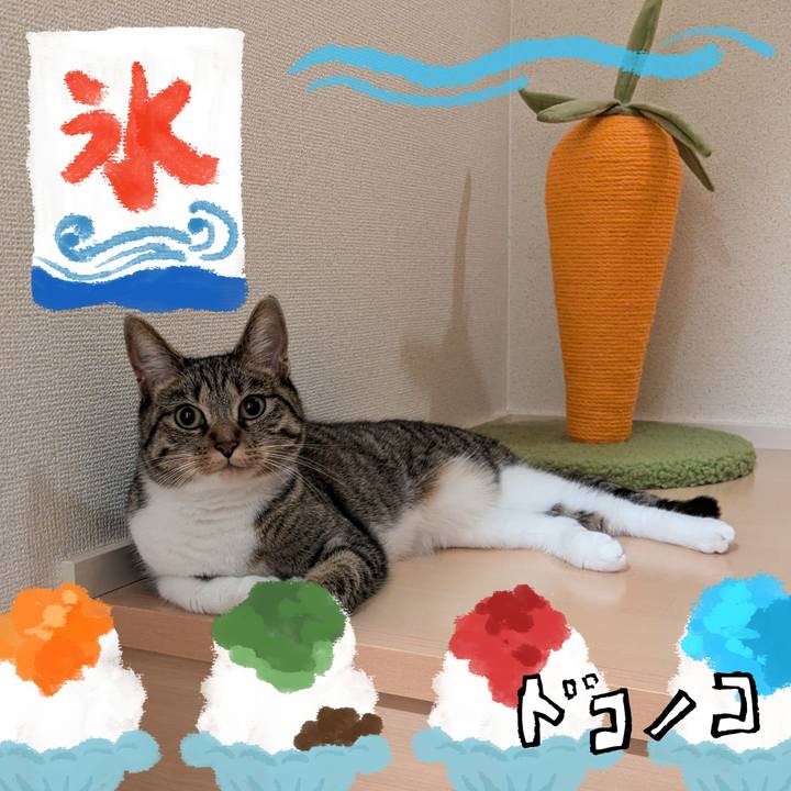 Ca5d8d21 0999 4655 9935 4c96517713fa 1723304292407