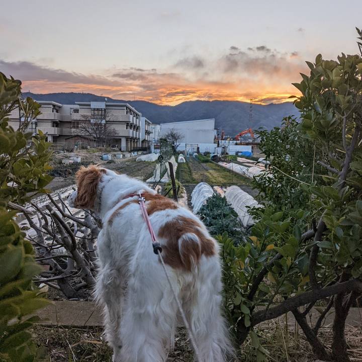 Ca5da8b0 3af5 4442 86fe c33b7fec658e 1644022067792