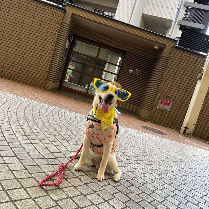 Ca5dfffe fb55 4a3c 9e13 9ae474831b2a 1627305764454