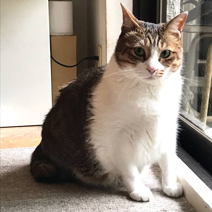 Ca5e2a9c 30d7 41bc bd26 9490b4e28b23 1624522985980