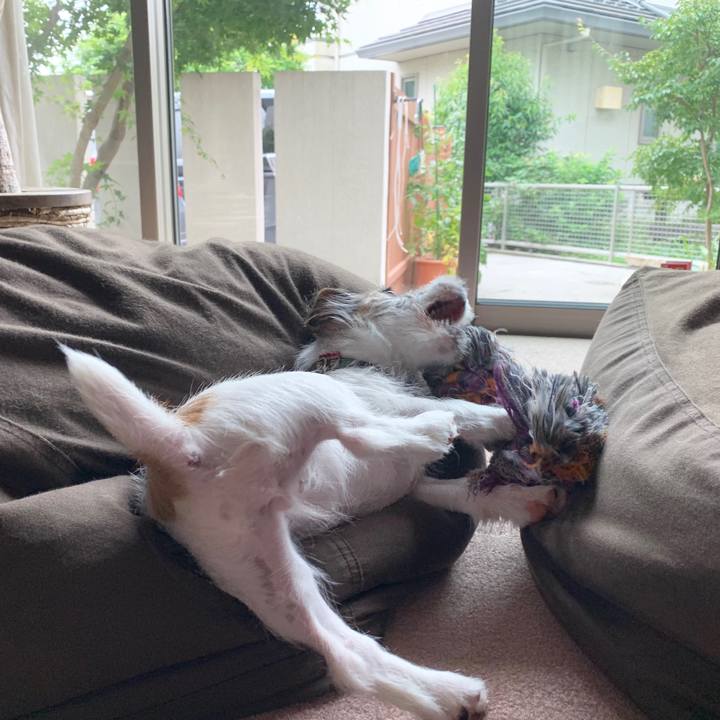 Ca5e8154 5e6d 4ffd ad16 dcbdbaff239a 1562633653775