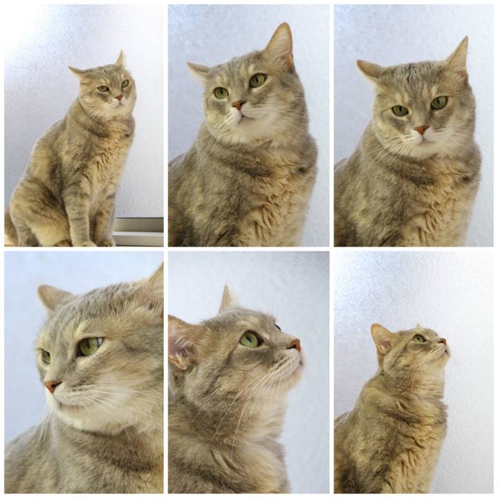 Ca5e8b57 487a 45bf 88c7 1743ecadae21 1693971725172