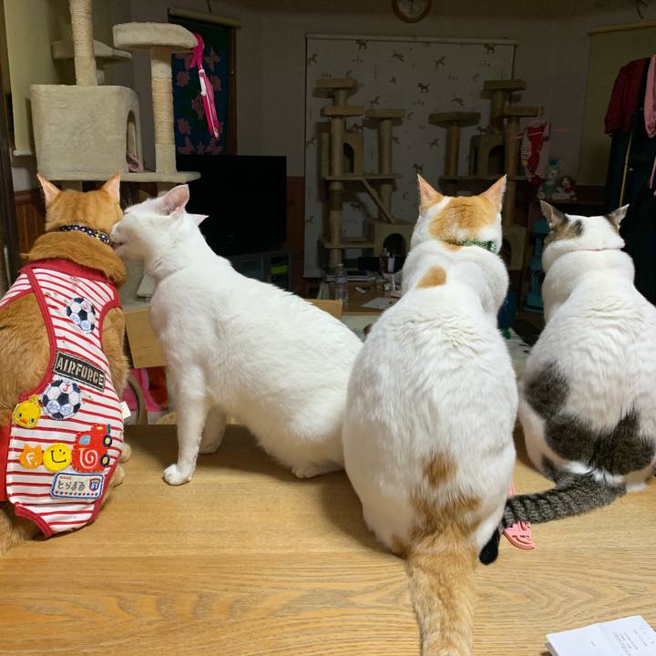 Ca5e99f8 e7ec 44b5 8b46 98aa01ba2c83 1582212717705