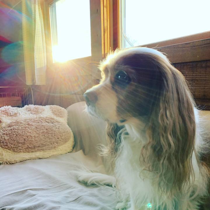 Ca5e9c2c 419d 463c 880a e8733e27ac90 1577228483961