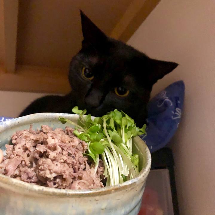 Ca5eb25b b52b 4a9d ba1b af1353dee54a 1554295824767