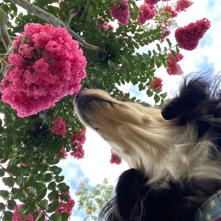 Ca5ee8dd 6170 419d b980 e9dc0edaecce 1753918589374