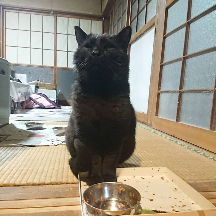 Ca5f027c 6a05 44e6 883f 7c8e668fc062 1619187218039