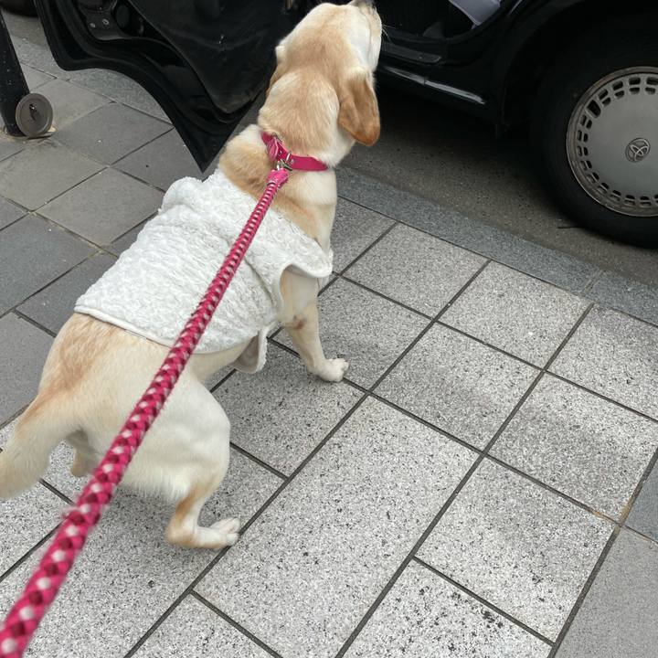 Ca5f0ab7 2422 42a1 beda e770b770e012 1635575954978