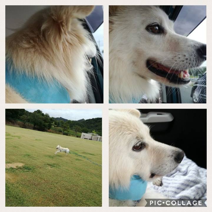 Ca5f5b12 e739 449a beca dca14193226f 1534319577150