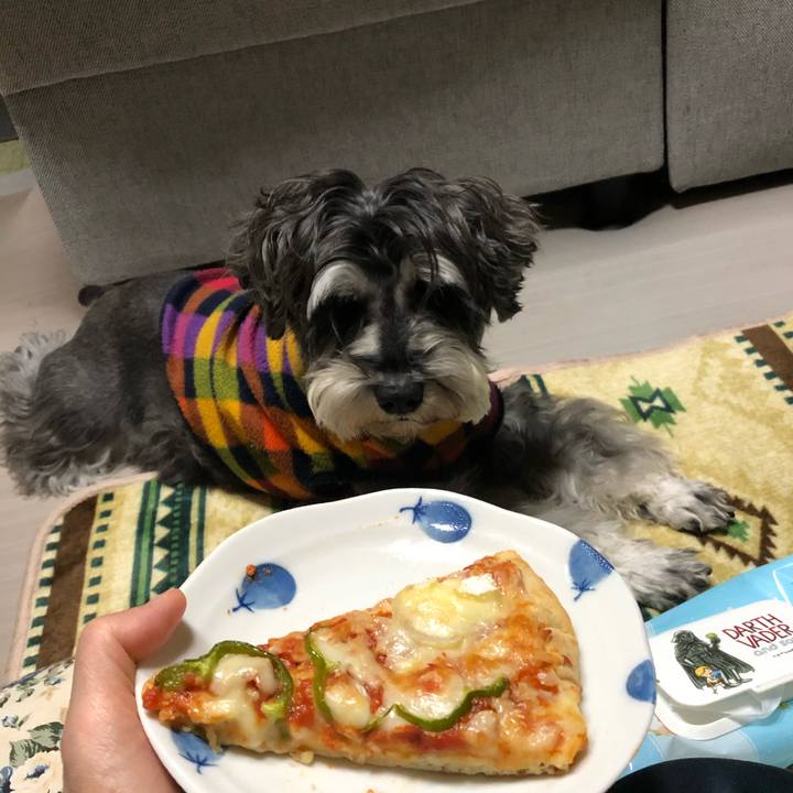 Ca5fd583 af1c 4485 93f5 c28da108d00a 1637934466230