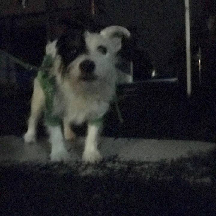 Ca600279 fa7f 4e47 bac1 a280e914353e 1508418621952