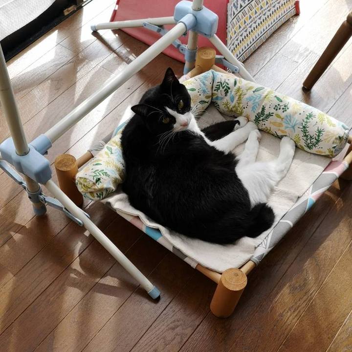 Ca600bbc 875f 4b93 961c 1dca5c2e7c9a 1630500245895