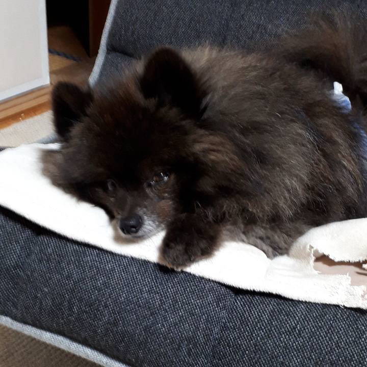 Ca6019a9 7cbd 4e54 a483 641d4e6635c3 1520626662483