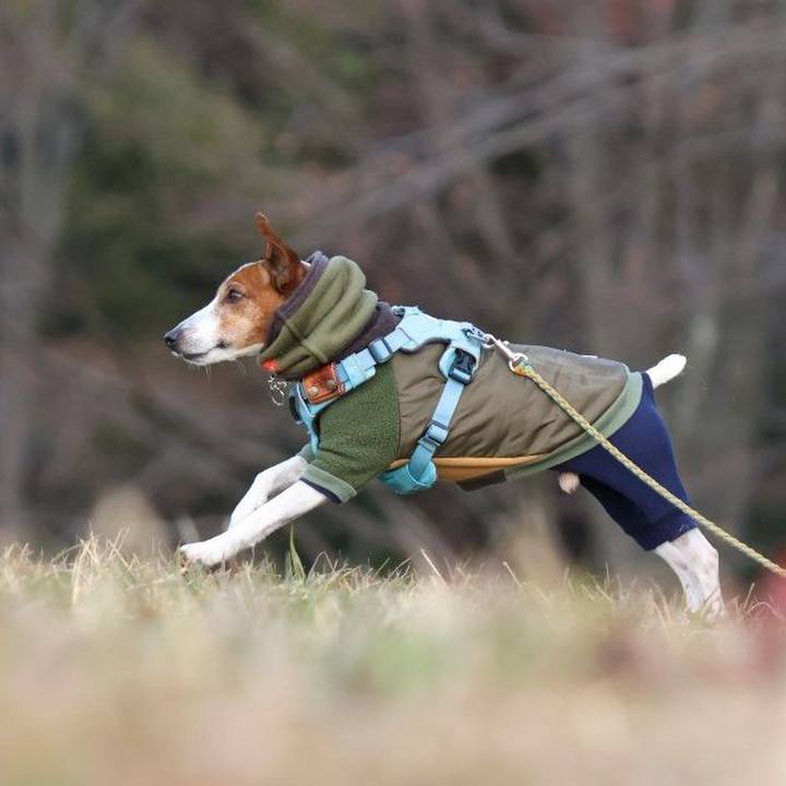 Ca604f7b 07d5 4cb5 b6f9 ddf657fa4396 1735987935290