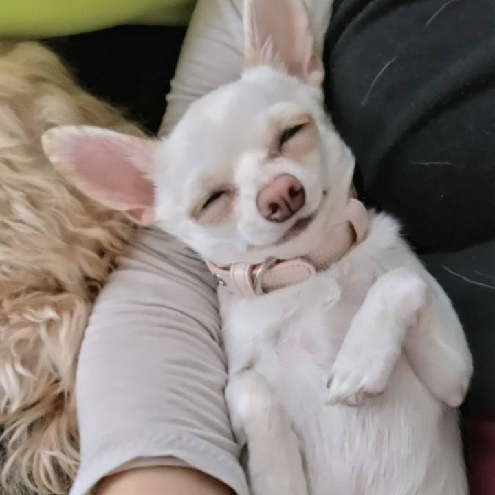 Ca6058c6 8085 4f32 997e 1e49a74e46d2 1716065947217