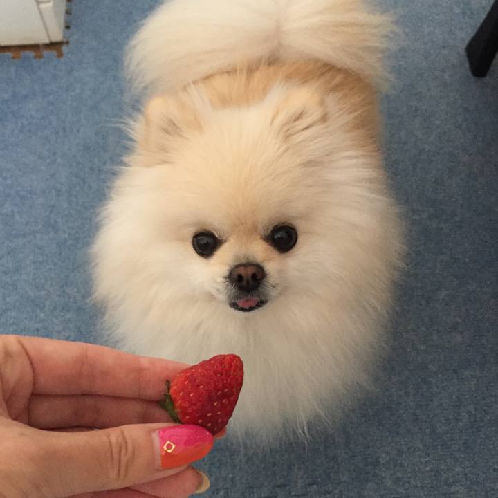 Ca606c39 6d0d 4e77 939d d63bb6c5b437 1578699646288