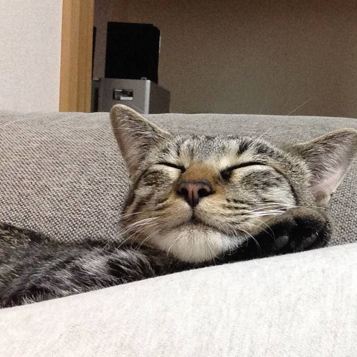 Ca6098b9 1860 4d8c a3f6 cb654f8bc99a 1521715447304