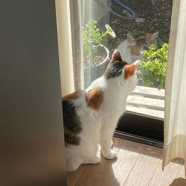 Ca60a896 90c9 45d2 ae4d a63ace10ea21 1763256715770