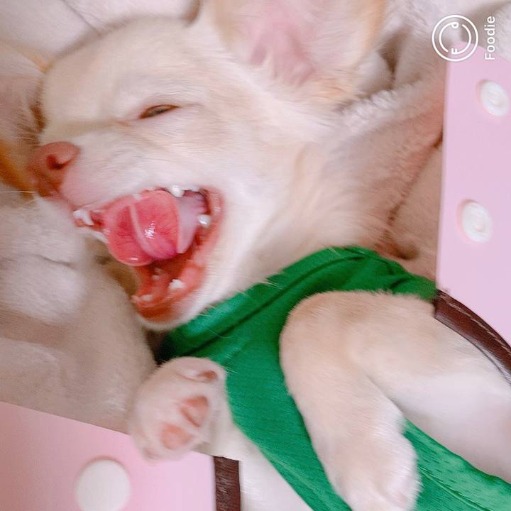 Ca60de9a 4e18 4252 a0ac 54116297e281 1598839228783