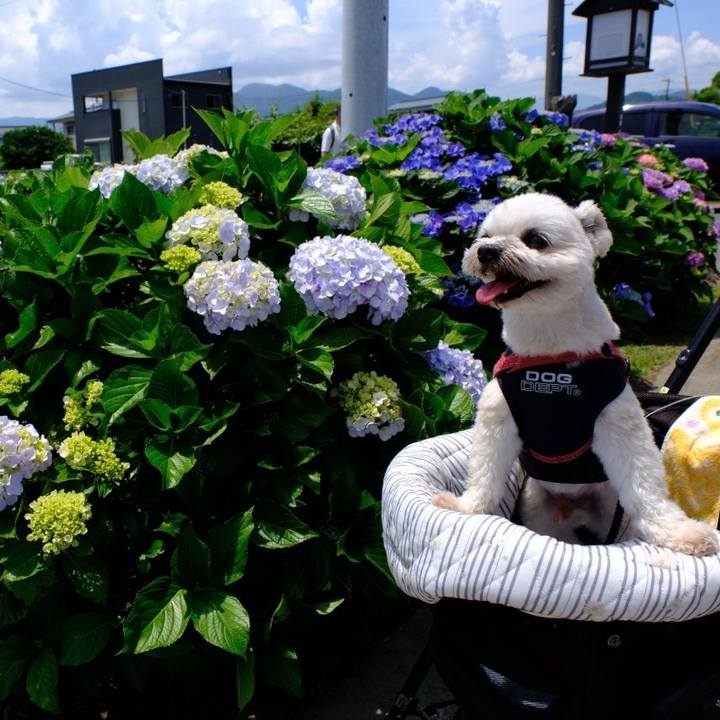 Ca6138b4 16db 496d 936f ec67404b8332 1718105674655