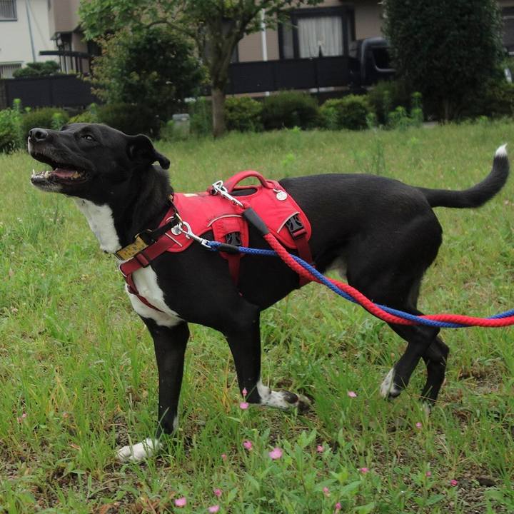 Ca614d47 0cd0 47bb 9723 7ff6d275777e 1595115241398