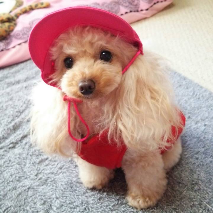 Ca617295 ec12 4703 85c3 f05d2a3d3195 1514282240895