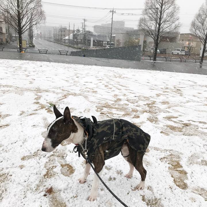 Ca6180d5 980a 4f25 81f1 6b1a01af82cb 1516605768607