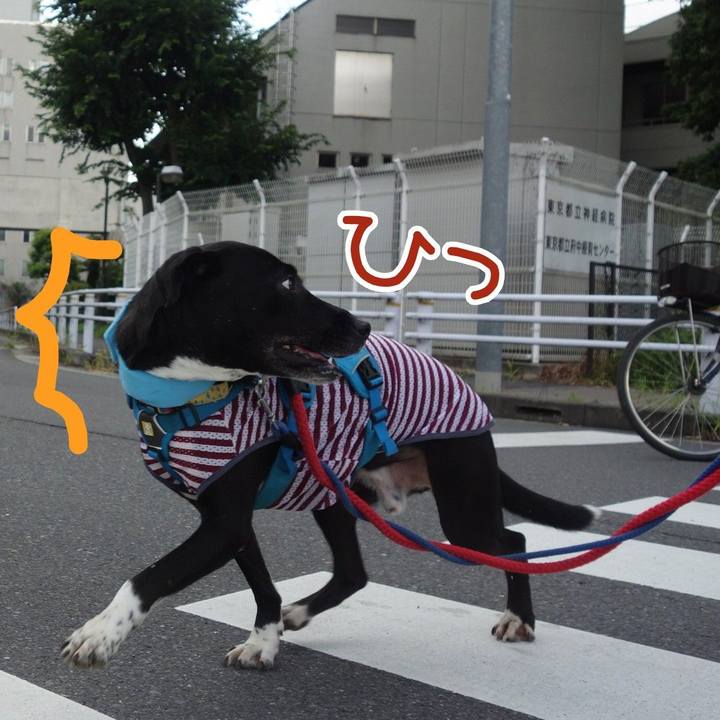 Ca618864 e340 4015 b6a6 c0ba4fc5ad17 1627086620957