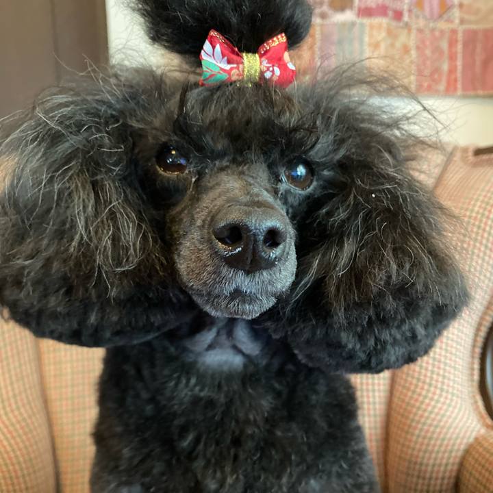 Ca61ad6f 93e3 4d4e b957 ff6824c052cf 1638327840852